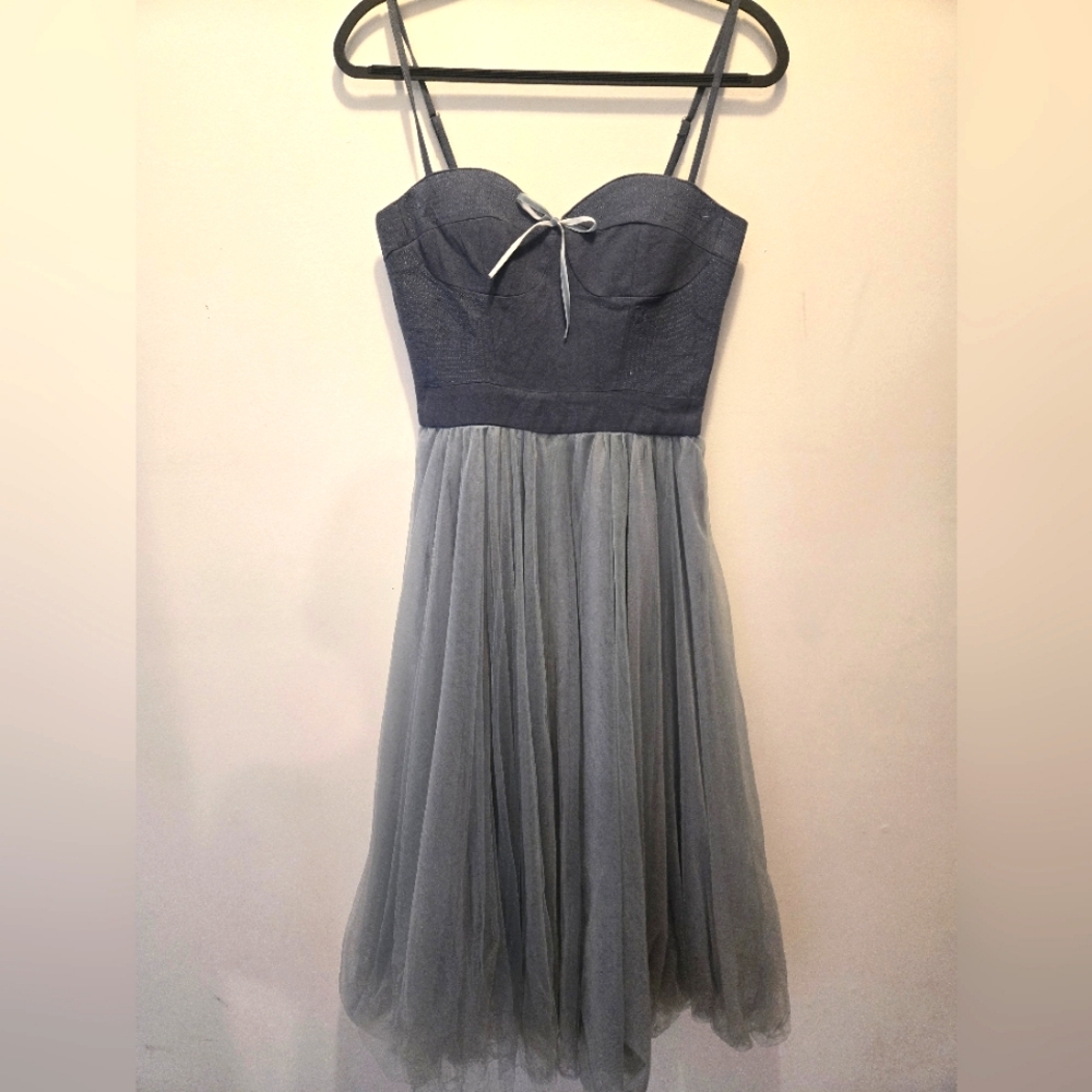 Vintage Tulle Dress